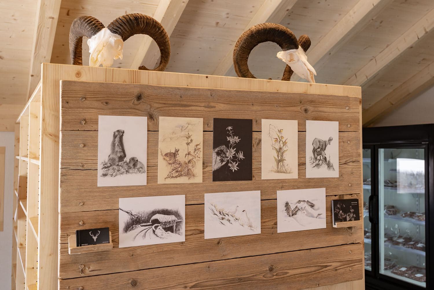 Les gravures animalières du magasin